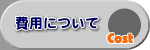 ��p�ɂ���